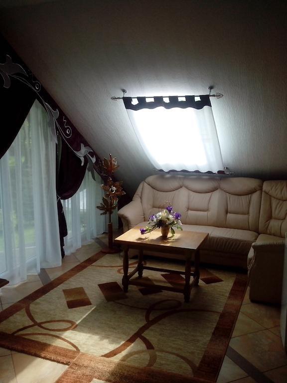 Morshynska Vezha Hotel Bilik gambar
