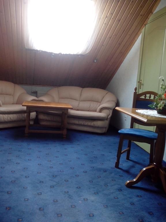 Morshynska Vezha Hotel Bilik gambar